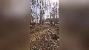 Продаётся земельный участок в направлении Челябинский тракт, р-н Первомайский (Сысертский округ)