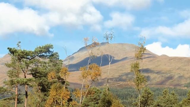 LOCH LOMOND BALMAHA TO ROWARDENNAN WALK смотреть онлайн