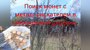 поиск монет с металлоискателем в заброшенной деревне.