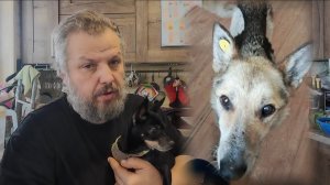 It’s not clear how he survived the Ural winter/ Не понятно, как он пережил уральскую зиму