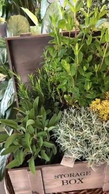 Микс из пряных трав смотреть онлайн