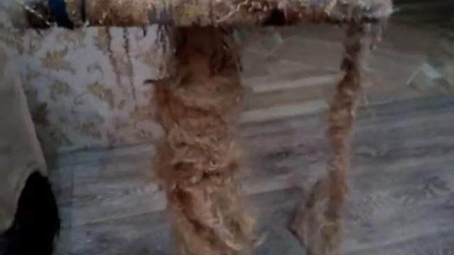 Любимое место котов поспать!🐈 смотреть онлайн