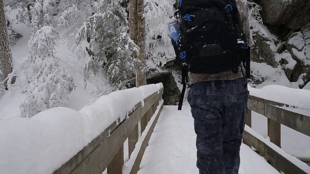 Track & Tower Trail Algonquin Provincial Park In Winter Hiking In 2019
