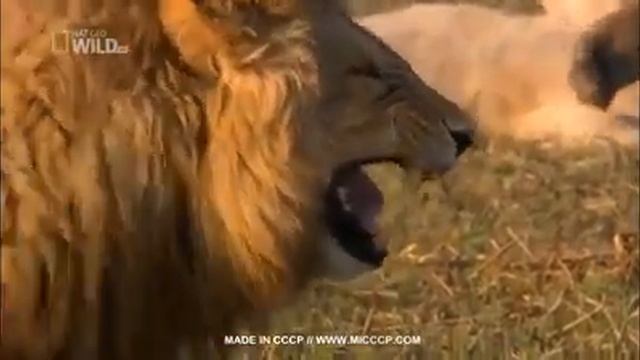 Убийственый смех смотреть онлайн