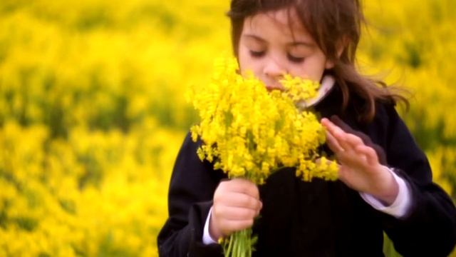 Поле сурепки смотреть онлайн