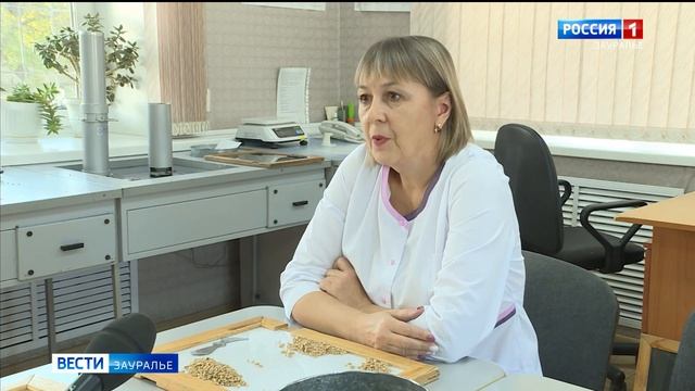 Сюжет местного телевидения о ходе уборочной кампании в агрохолдинге "Кургансемена"