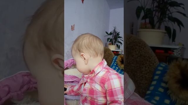 София 15.02.2018