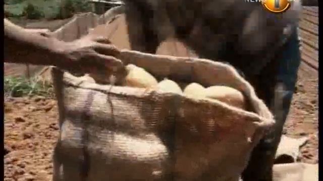 Potato price смотреть онлайн