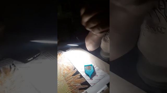 старая  трансляция  из тиктока  мои картины смотреть онлайн