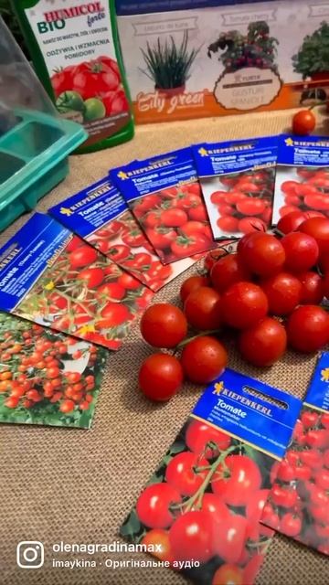 А ти вже замовив вітамінну бомбу зелені ?Аби посадити в горщиках зимою смотреть онлайн