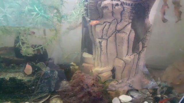 Декретный ОТПУСК 🥴 Приглашаю провести со мной один день. Уборка аквариума смотреть онлайн