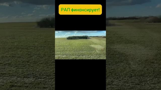 UX работает по карте! РАЛ финансирует!! #Рал #лизинг