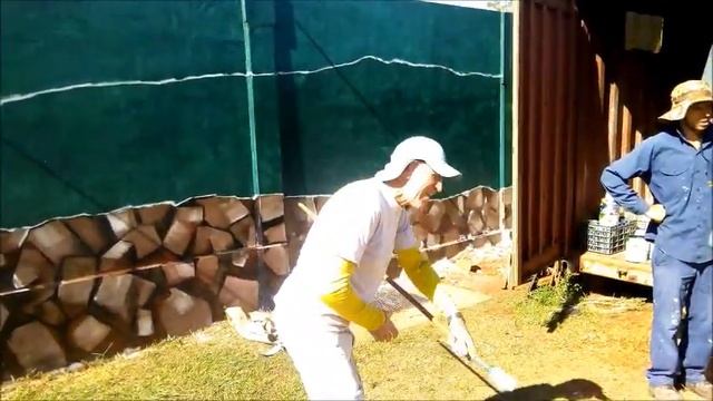 Настенная живопись в отеле. смотреть онлайн