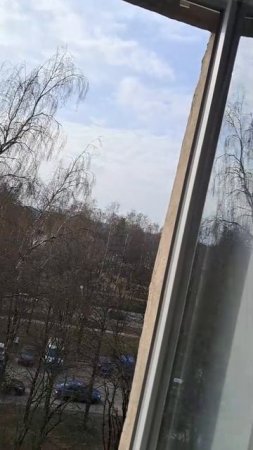 Отзыв
