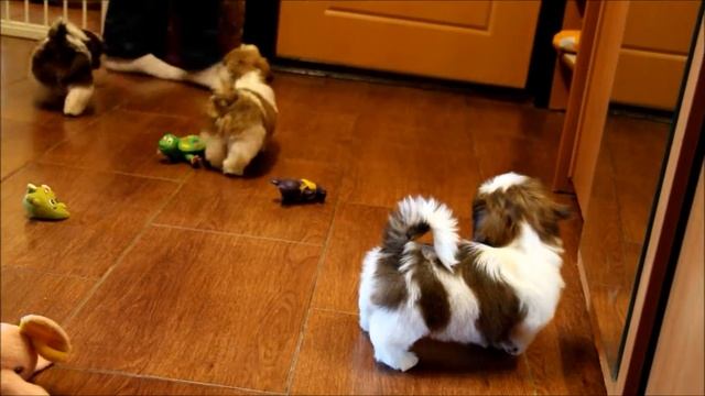 Амстердам смотреть онлайн