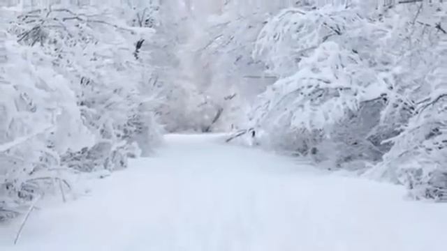 Песенка про мамонтов смотреть онлайн