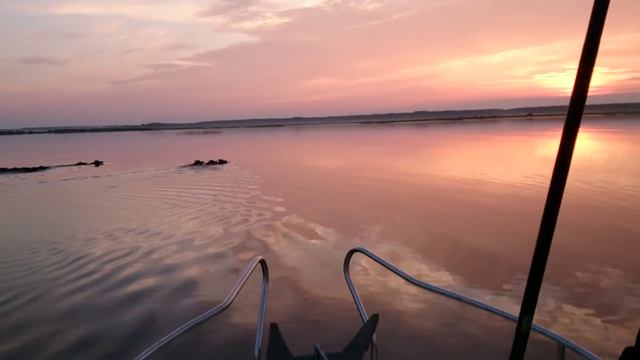 кабаны смотреть онлайн