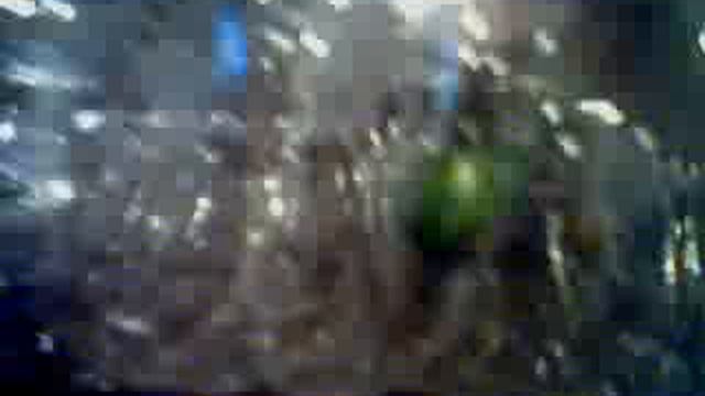 HUGE green beetle смотреть онлайн