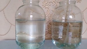 как отсадить гуппи на РОДЫ 🐟