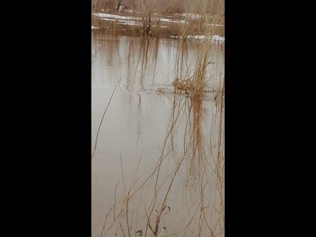Паводок 06.04.2019 на речушке Ашкадар, утро. смотреть онлайн
