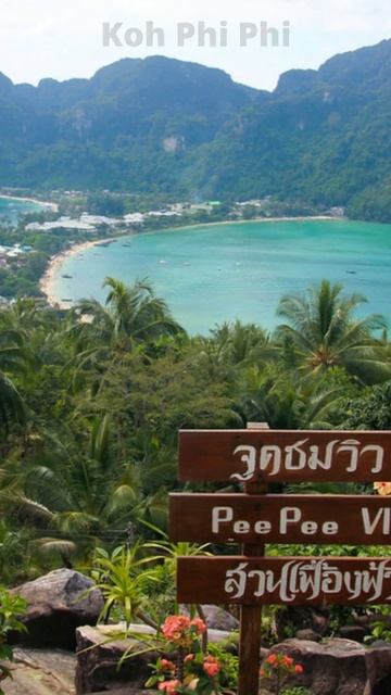 Top Attractions in Thailand #Shorts #Travel #Thailand смотреть онлайн