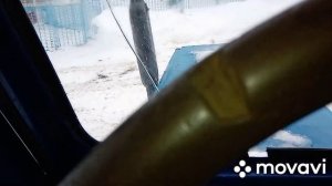 трактор т 40 без передка