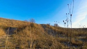 MTB Орехово #Sunny day