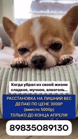 РАССТАНОВКА НА ЛИШНИЙ ВЕС