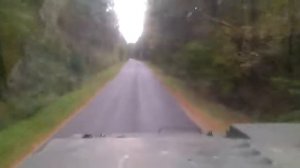 Путепрокладчик ПКТ-2