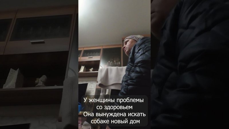 Всё равно что отдать ребёнка...Анонс
