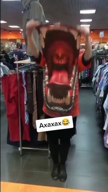 Нападение Льва на котёнка #shorts смотреть онлайн