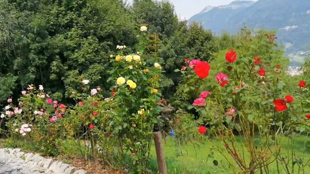 esterno della casa della beata Pierina Morosini ( parte seconda) смотреть онлайн