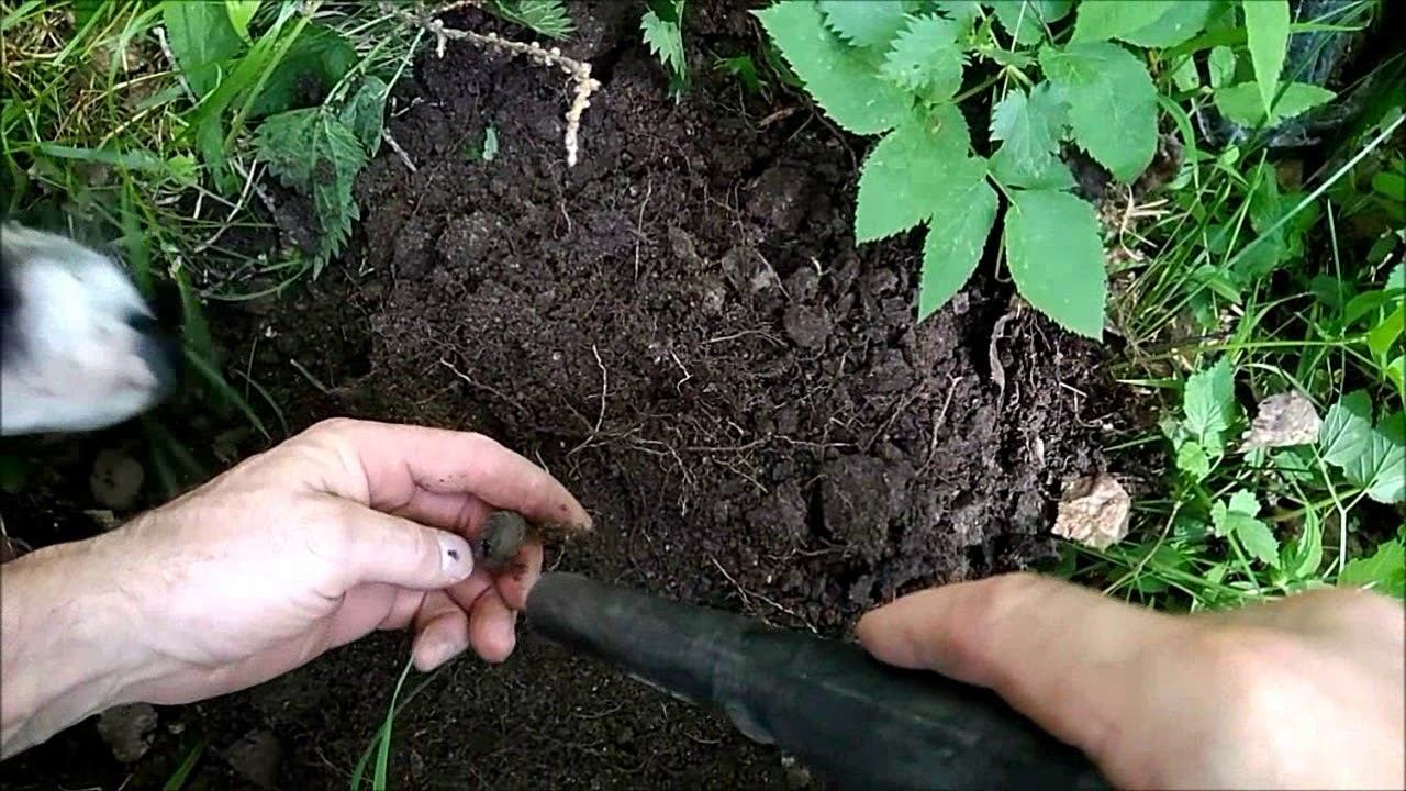 Нашёл юбилейную монету!!!Один рубль! СТО ЛЕТ ЛЕНИНУ!!!