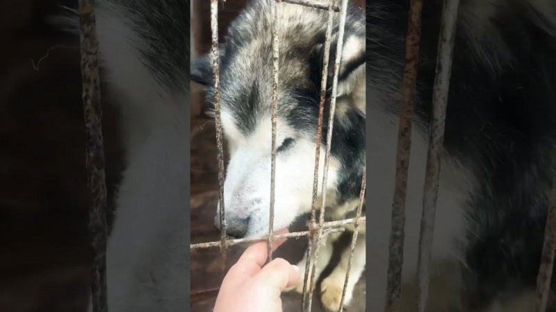 Доброе утречко 10 октября