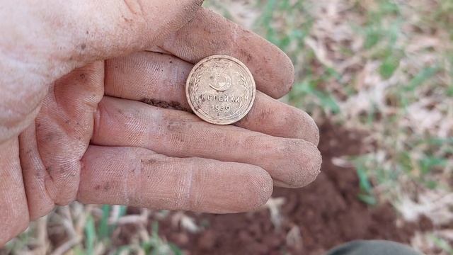 Первый коп с Nokta Find X Pro. Открываю сезон 2025