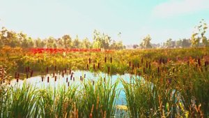 Великолепное видео о природе 8K ULTRA HD, Видео 4K HDR 120 кадров в секунду Dolby Vision