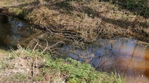 21.04.2025.Усадьба Парк Кино Ляхово. Парк Кошек. Домодедово. Река Востеша. Обзор.