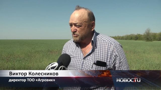 Как ведутся весенние посевные работы смотреть онлайн