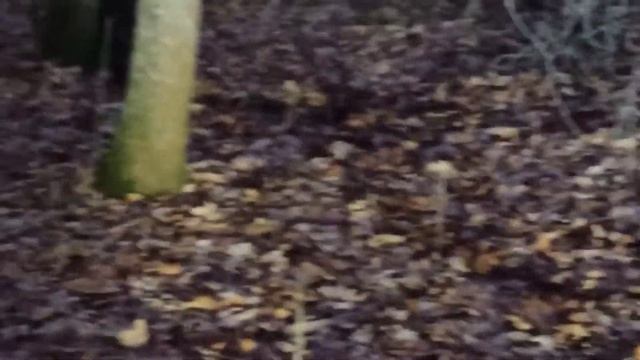 ОБЗОР ВОЗДУШКИ CORE / ХАРАКТЕРИСТИКИ ВОЗДУШКИ смотреть онлайн