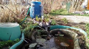 Запуск фильтра у рыбок и изменения в доме