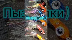 Мои работы