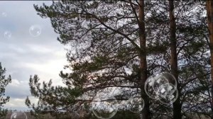 ЭТА ПЕСНЯ НАБРАЛА МИЛЛИОНЫ ПРОСМОТРОВ. КРАСИВАЯ ПЕСНЯ О ЛЮБВИ И НЕЖНОСТИ.