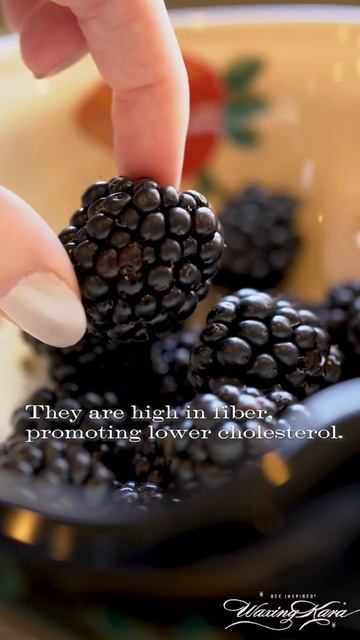 Did You Know Blackberries can do THIS for Your Skin? смотреть онлайн