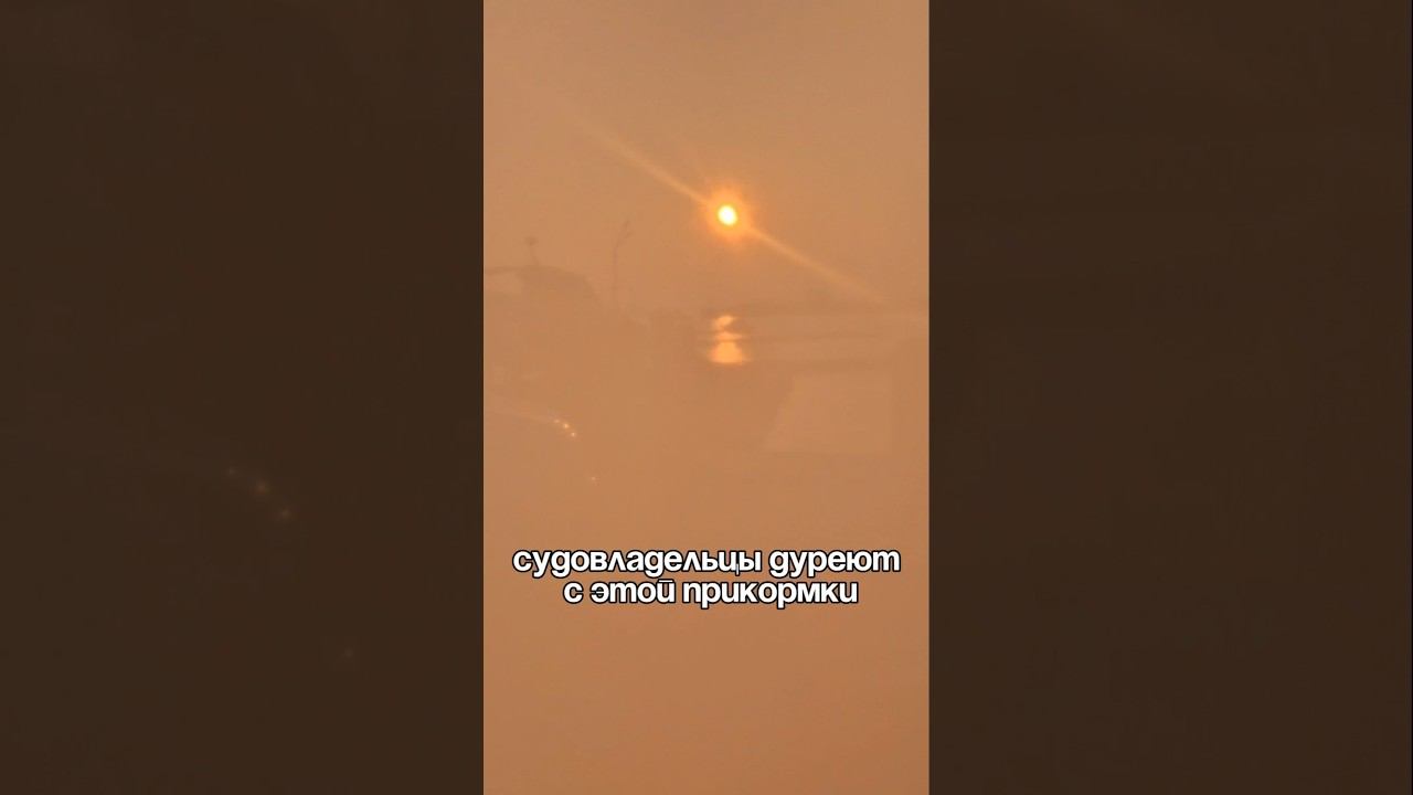 Спуск катера на воду без ошибок. Чек лист в описании!