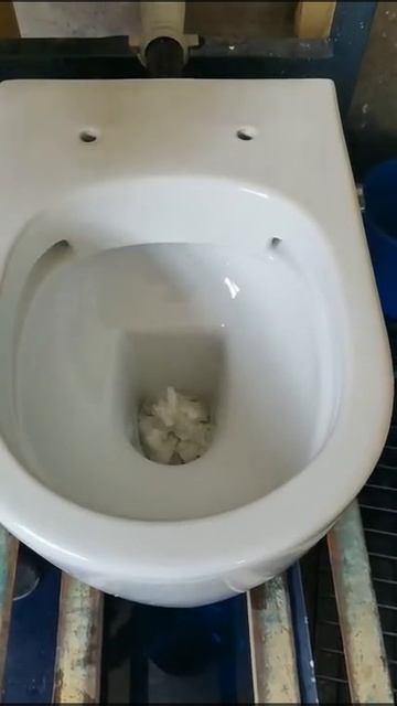 Rimless toilet paper flush test