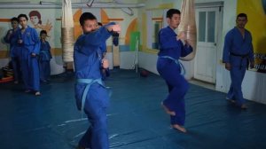 Вовинам Вьет Во Дао