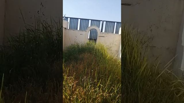 ИСА АТА — ЫСТЫҚ ӘУЛИЕ ҚАБІРІ