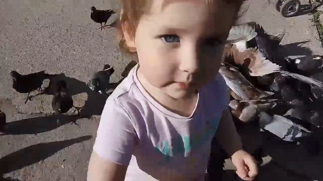 Дочка кормит голубей! смотреть онлайн
