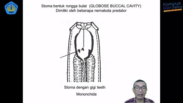 7.HPT - Nematologi Tumbuhan - Sistem Pencernaan (Bagian 1)
