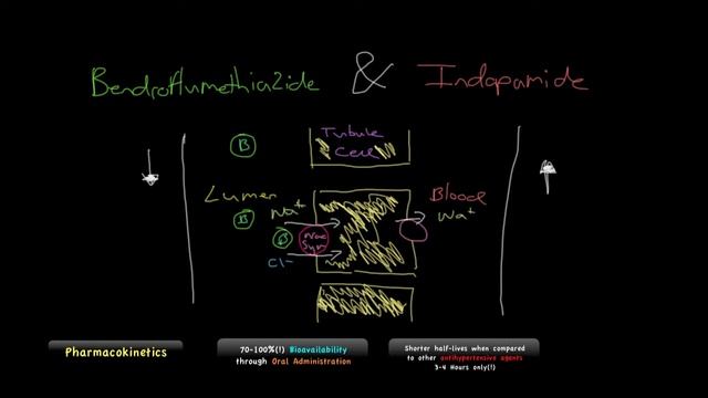 Video 8   Thiazide & Related Diuretics смотреть онлайн